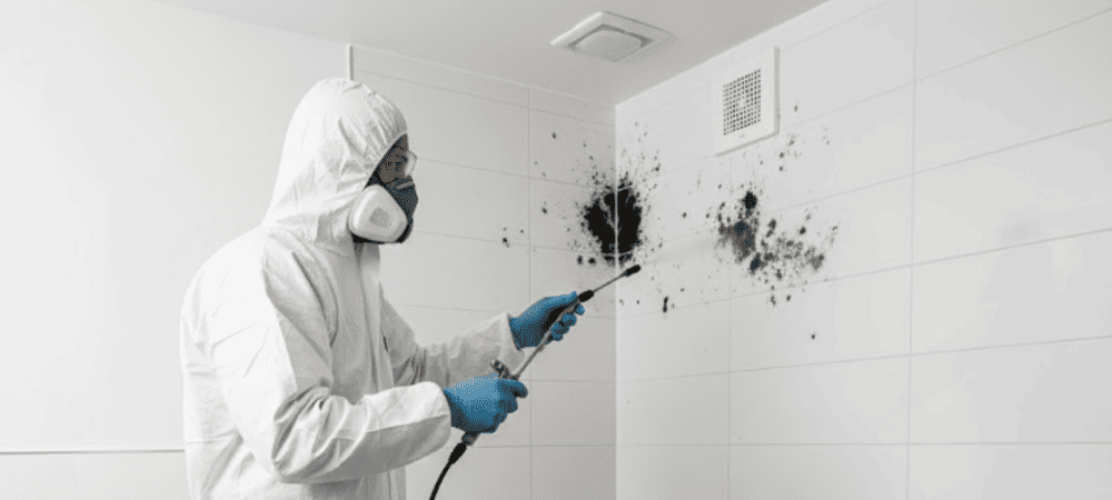 Удаление плесени в туалете в Минске